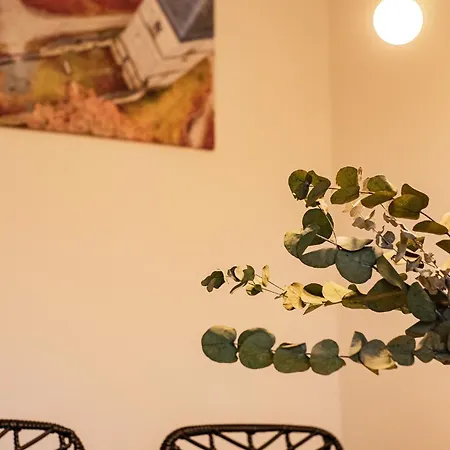 Apartamento Alexbad *